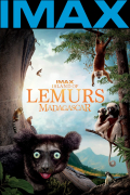 Película Island of Lemurs: Madagascar