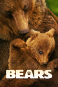 Película Bears