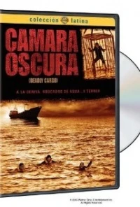 Cámara oscura