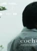 Cochochi