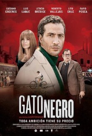 Gato negro