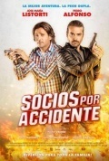 Película Partners By Accident