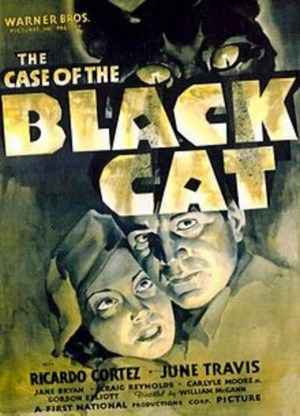 The Case of the Black Cat