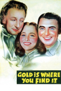 Película Gold Is Where You Find It
