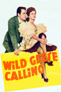 Película Wild Geese Calling