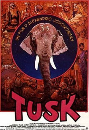 Tusk Tusk