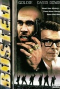 Película B.U.S.T.E.D
