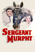 Película Sergeant Murphy