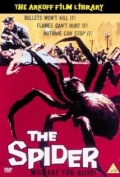 The Spider