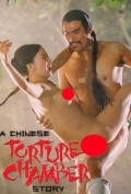 A Chinese Torture Chamber Story