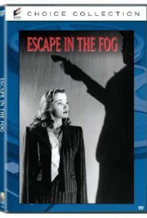 Escape in the Fog