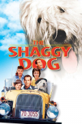Película The Shaggy Dog