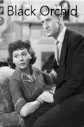 Película Black Orchid