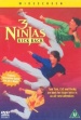 3 Ninjas Kick Back: 3 Ninjas contratacan