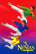 Película 3 Ninjas Kick Back