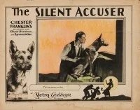 The Silent Accuser