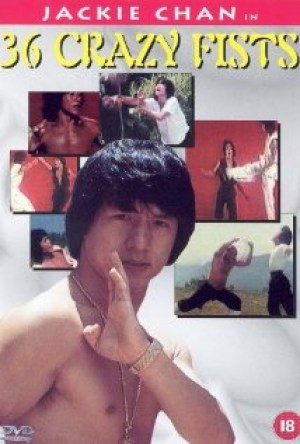 San shi liu mi xing quan