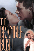 Película The Bramble Bush