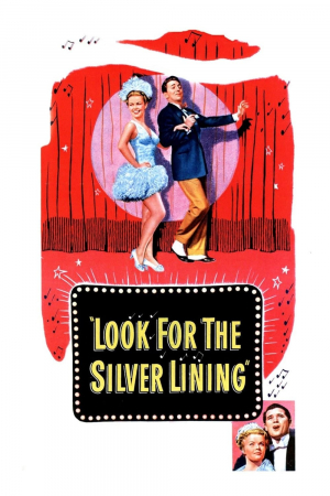 Look for the Silver Lining Look for the Silver Lining