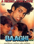 Película Baaghi: A Rebel for Love