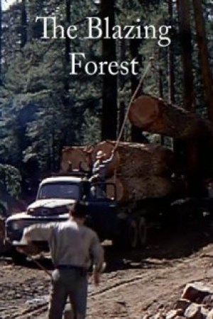 El bosque en llamas