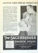 The Sagebrusher