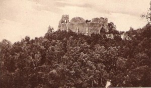 Cetatea Neamtului