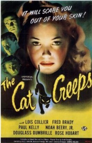 The Cat Creeps