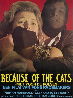 Because of the Cats
