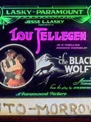 The Black Wolf