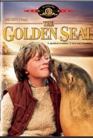 La foca dorada