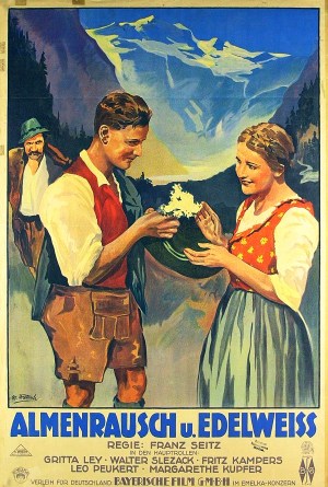 Almenrausch und Edelweiss