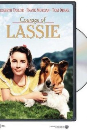 El coraje de Lassie