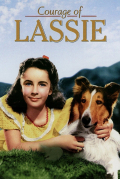 Película Courage of Lassie