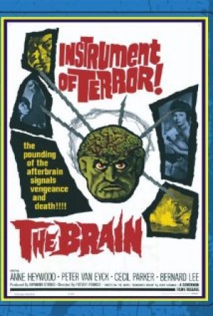 El cerebro
