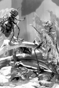 La cigarra y la hormiga