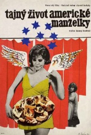 La vida secreta de una esposa norteamericana
