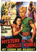 Película Mystery of the Black Jungle