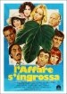 Película Maschio latino cercasi