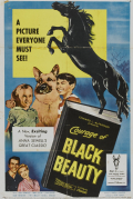 Película Courage of Black Beauty