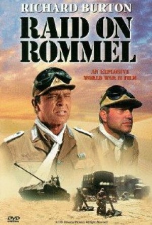 Comando en el desierto