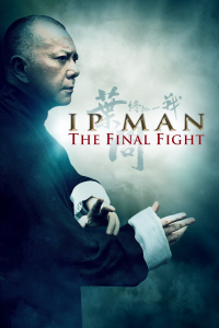 Ip Man: La lucha final