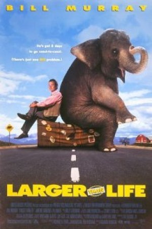 Un elefante llamado Vera