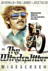 The Windsplitter