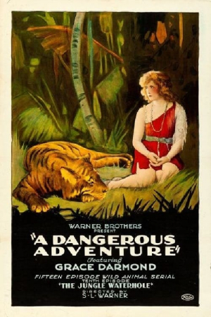 A Dangerous Adventure A Dangerous Adventure