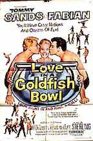 Love in a Goldfish Bowl