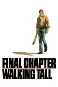 Película Final Chapter: Walking Tall