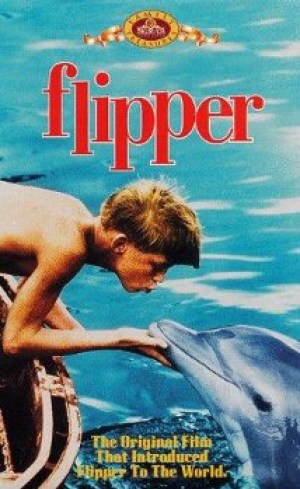 Mi amigo Flipper