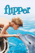 Película Flipper