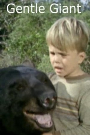 El oso Ben